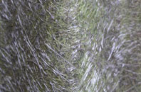 Dunn Street fibreglass roof work